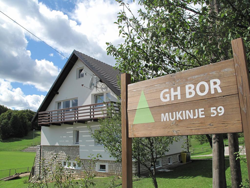 Guesthouse Bor Plitvice Lakes Plitvicka Jezera Bagian luar foto
