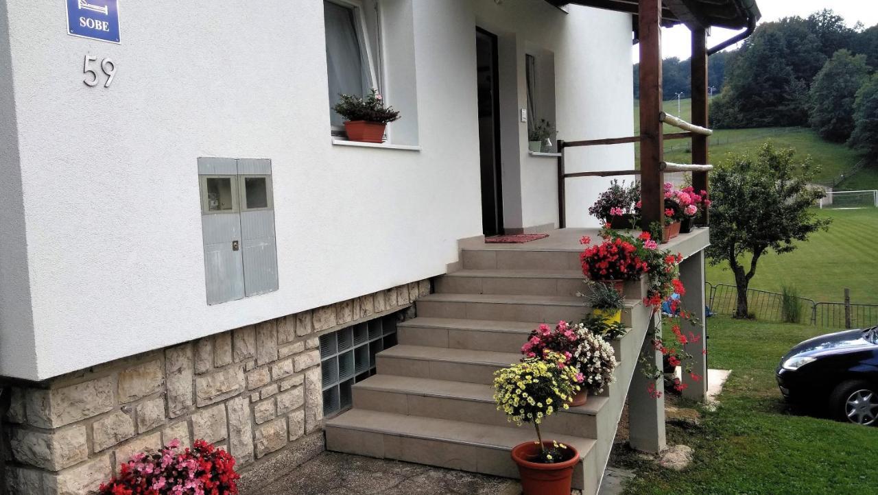 Guesthouse Bor Plitvice Lakes Plitvicka Jezera Bagian luar foto