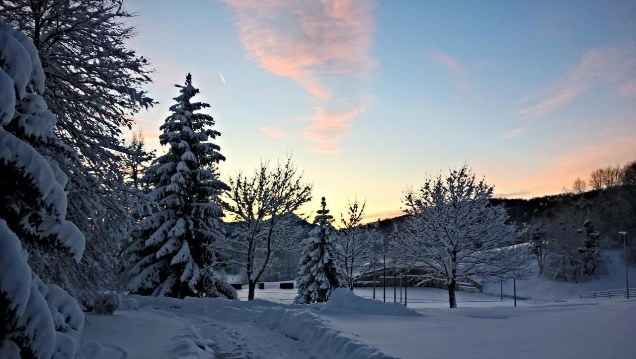 Guesthouse Bor Plitvice Lakes Plitvicka Jezera Bagian luar foto