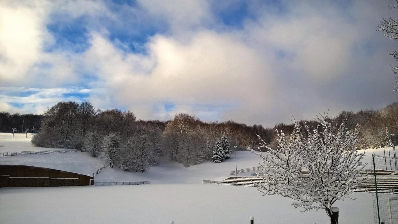 Guesthouse Bor Plitvice Lakes Plitvicka Jezera Bagian luar foto